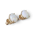 Oval Cabochon Stud Earrings in 14 Karat Yellow Gold