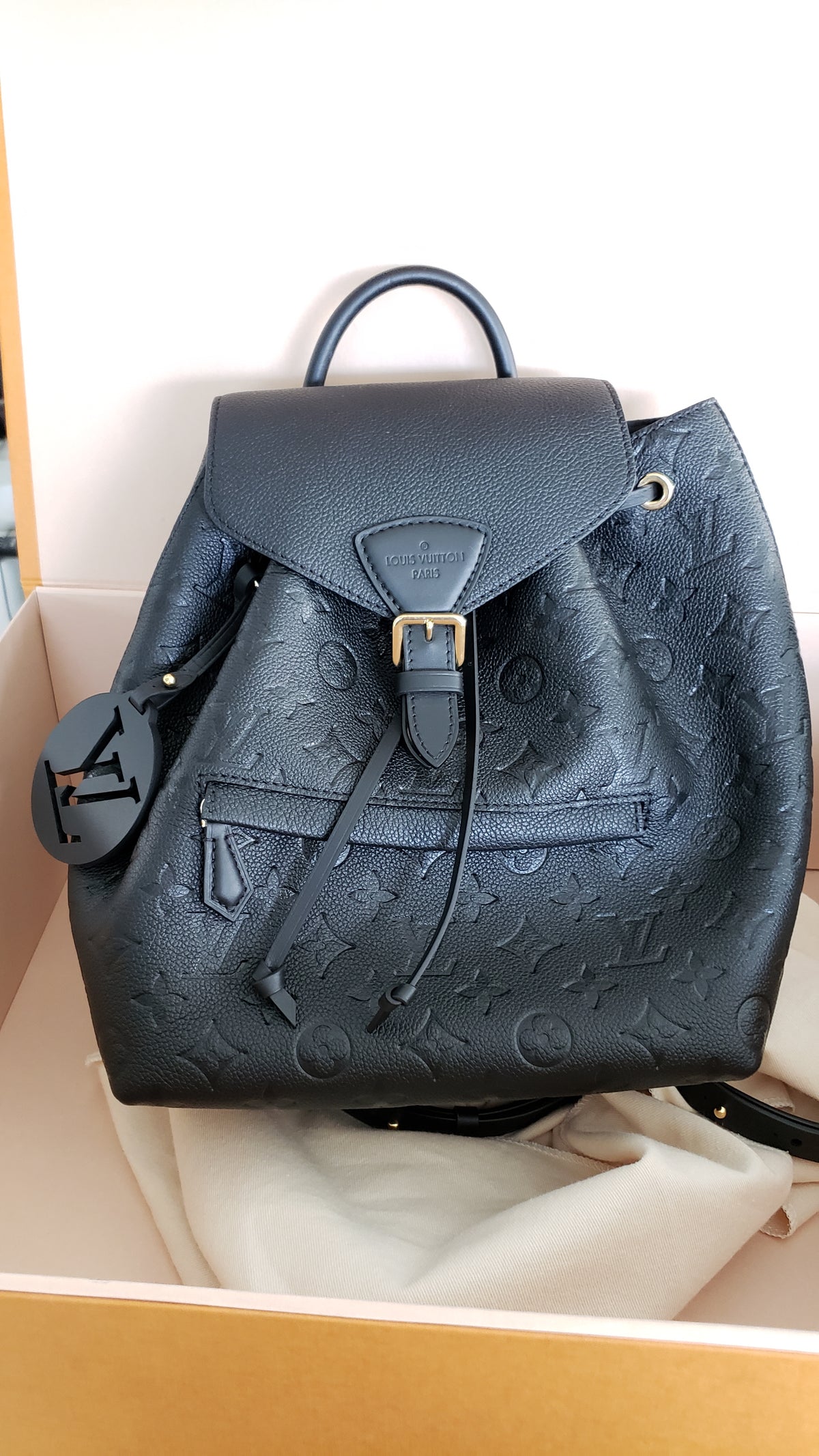 Louis Vuitton Black Back Pack/Handbags